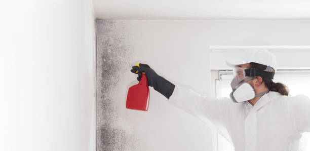 Best Bathroom Mold Remediation in Brunswick, NC